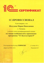 1С:Профессионал