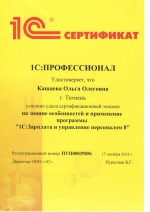 1С:Профессионал
